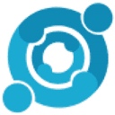 Shadow Capital Partners