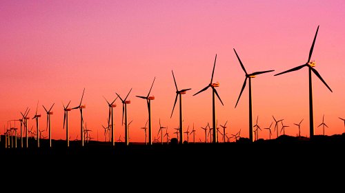 Windfarm1-pexels-narcisa-aciko-1292464