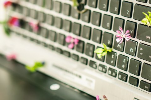 Laptop Flowers